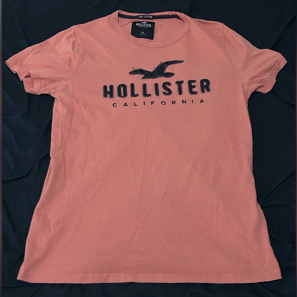 Hollister Men's T-Shirt Size Medium Raised Lettering Embroidered Logo  Y2K